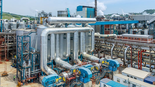 Sappi Saiccor Mill Expansion – 25-Year Protective Coating Specification